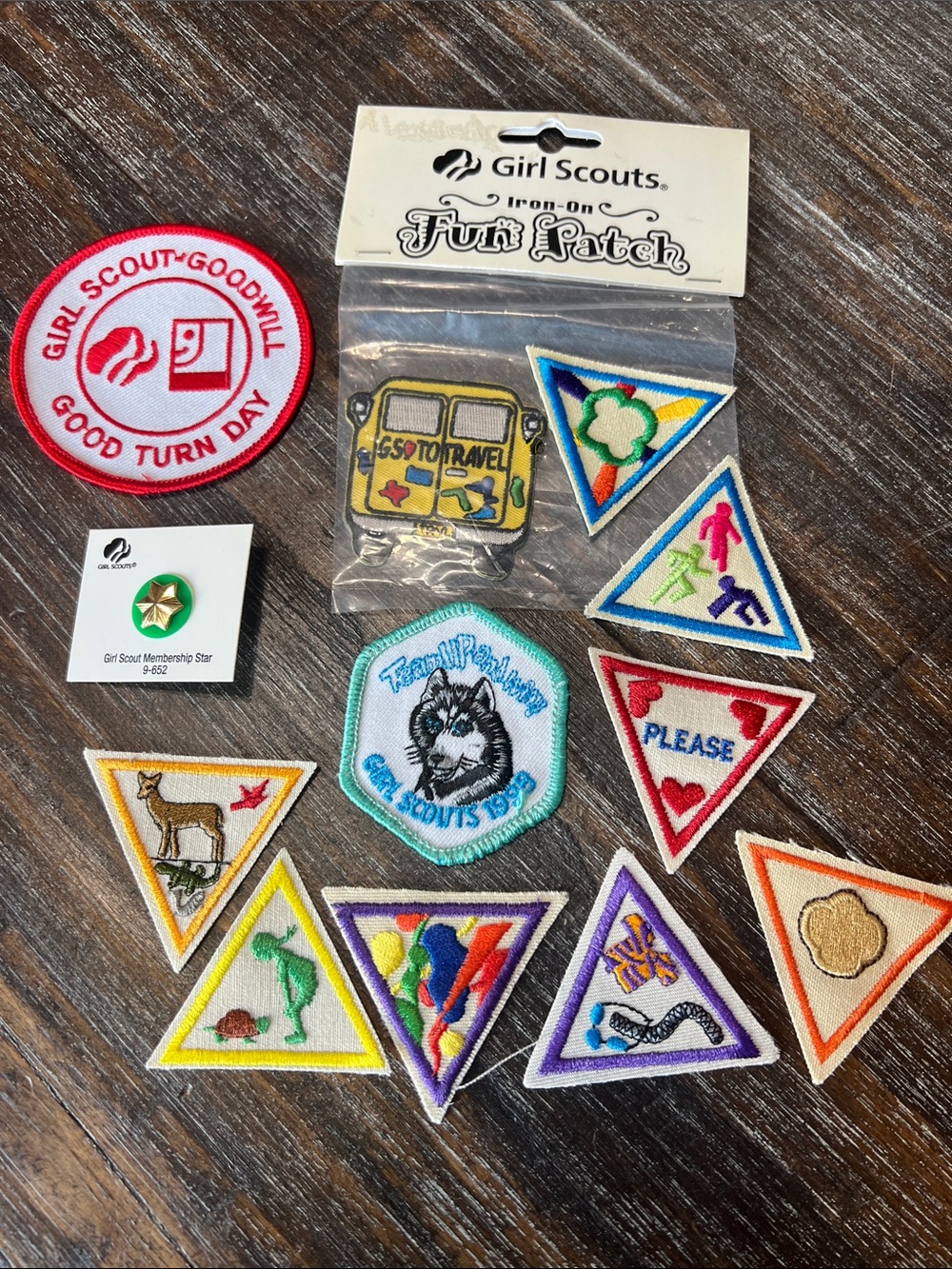 Girl Scout Iron -On Fun Patch Set - Multicolor